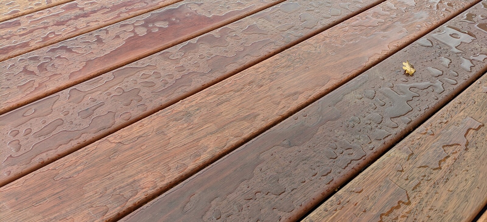 Mokrá terasa z dřeva Merbau po natření olejem OSMO